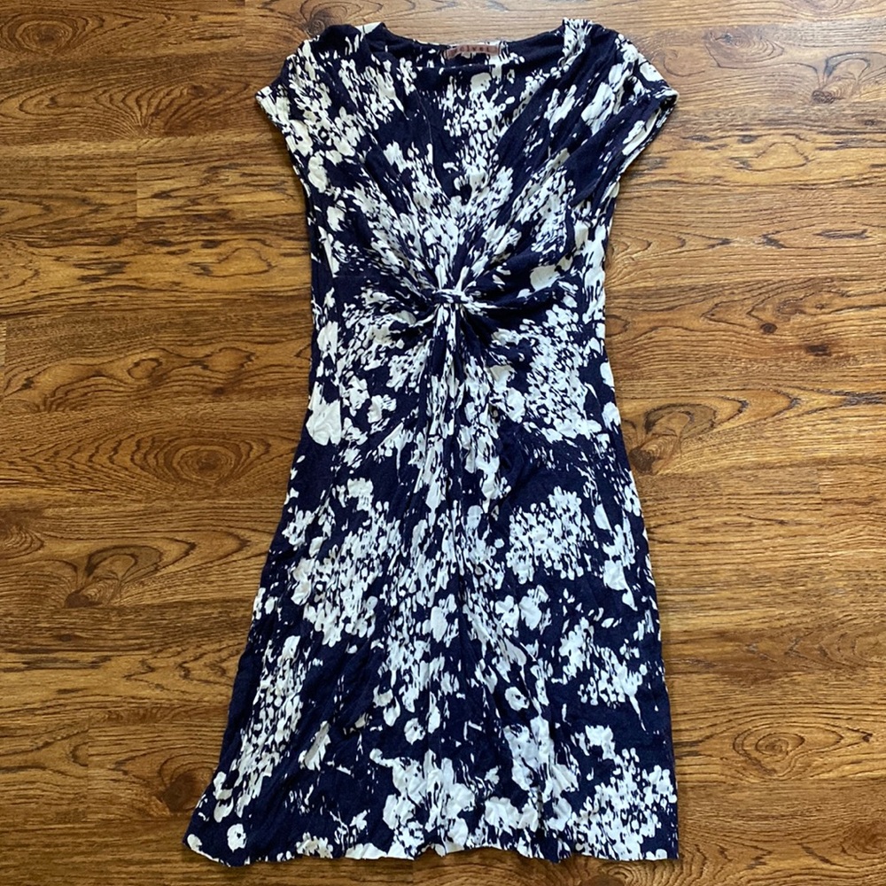 Velvet by Graham & Spencer Blue Print Dress